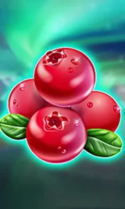 Winterberries